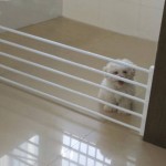 Pet Dog Fence Baby Gate Playpen for Dogs Indoor Retractable Pet Isolating Gate Room Plastic Kids Baby Safety Protection Tools