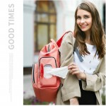New Diapering Diaper Bag Change Pad Hooks Tissue Box Mummy Nappy Bag Large Capacity Baby Bag Travel Backpack Mummy Backpacks