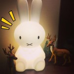 Rabbit/Bear Night Light Led Lamp Dimmable for Baby Children Kids Gift Animal Cartoon Decorative Bedside Bedroom Living Room